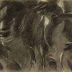 df-14e-P_44.5x65.5cm_fusain sur papier